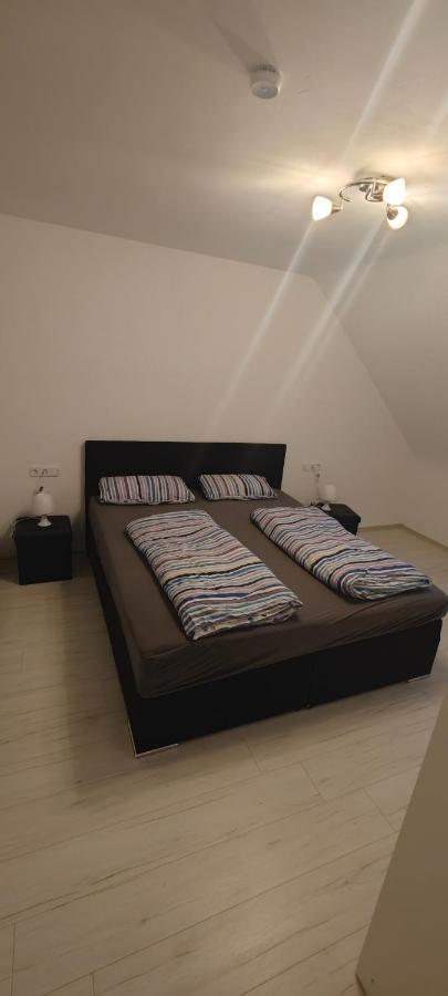 Appartement Urlaub Am Rhein Speyer Hockenheim à Altlussheim Extérieur photo